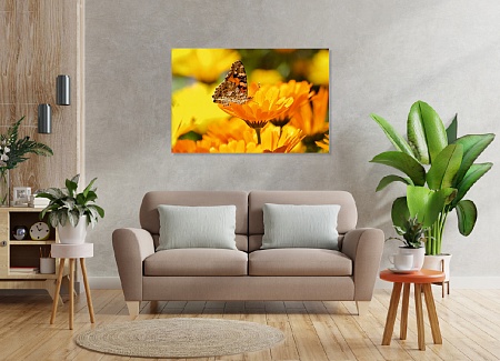 Картина на стену "Бабочка" на холсте интерьерная / пано 60 х 40 см