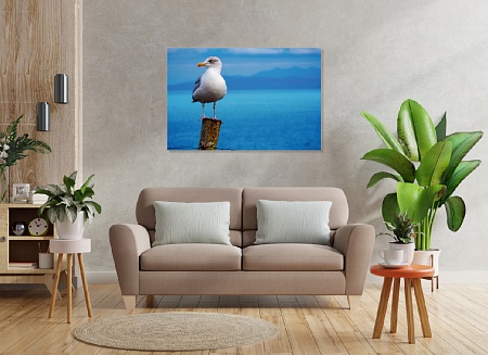 Картина на стену "Чайка и море" на холсте интерьерная / пано 60 х 40 см